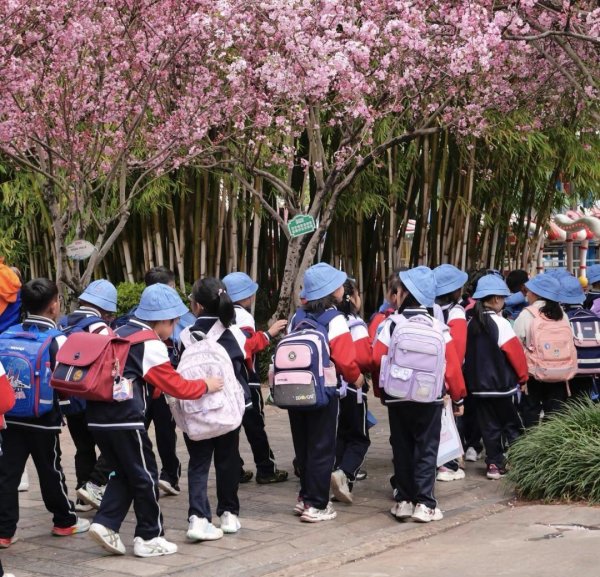配资正规平台 “知道拿不出手，还怪女儿虚荣”，一份秋游午餐，让评论区破防